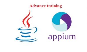 Azure DevOps training, AWS DevOps training, JAVA training, .Net training, API training, Microservice training, Spring training, Spring Boot training, Elastic Search training, Power BI training, Selenium training, mobile automation training, UFT training, Robot framework training, Blue Prism training, UI Path training, Automation anywhere training, Appium training in Canberra, Australia, New Zealand, training near me