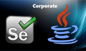 Azure DevOps training, AWS DevOps training, JAVA training, .Net training, API training, Microservice training, Spring training, Spring Boot training, Elastic Search training, Power BI training, Selenium training, mobile automation training, UFT training, Robot framework training, Blue Prism training, UI Path training, Automation anywhere training, Appium training in Canberra, Australia, New Zealand, training near me